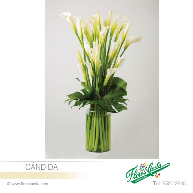 CÁNDIDA, Alcatraces, Arreglo Floral de Alcatraces en cilindro de cristal transparente. Florería Flores Anita. Servicio a domicilio en la Ciudad de México y área metropolitana.