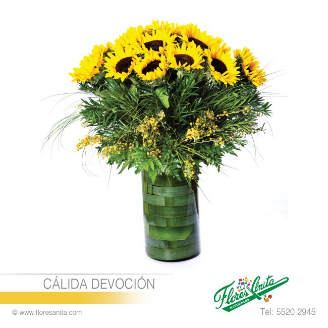 CÁLIDA DEVOCIÓN (Arreglo Floral) Girasoles. Arreglo Floral estilo bouquet de Girasoles con Follajes en cilindro de cristal transparente con hojas. Florería Flores Anita. Servicio a domicilio en la Ciudad de México y área metropolitana.