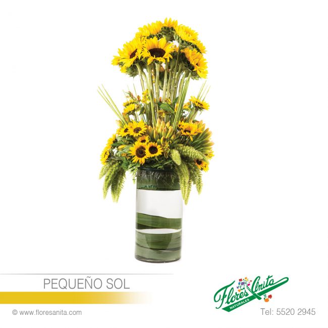 PEQUEÑO SOL (Arreglo Floral) Girasoles Arreglo Floral en desniveles de Girasoles con Follajes en cilindro de cristal transparente con hojas.