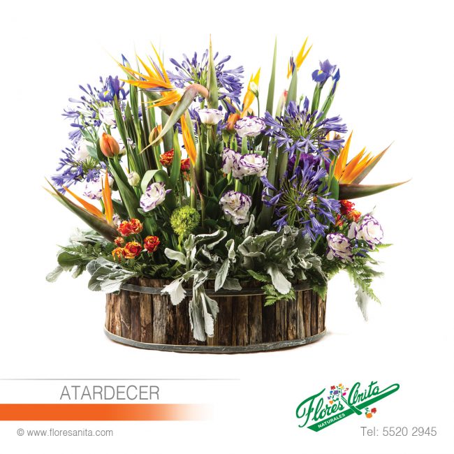 ATARDECER (Arreglo Floral) Mixtos Arreglo Floral tipo jardin con Aves de paraiso, Agapandos, Lisiantus, Rosas Baby y Follajes en base de madera rústica.
