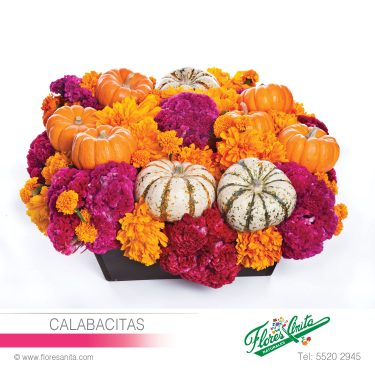 CALABACITAS (Arreglo Floral) Exóticos Arreglo Floral bajito de Calabazas de ornato con Cempasuchil y Tersiopelo. Floreria Flores Anita- Florería CDMX - Arreglos florales a domicilio CDMX