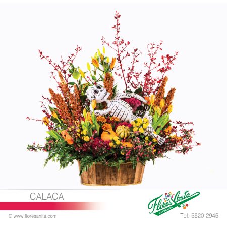 CALACA (Arreglo Floral) Exóticos