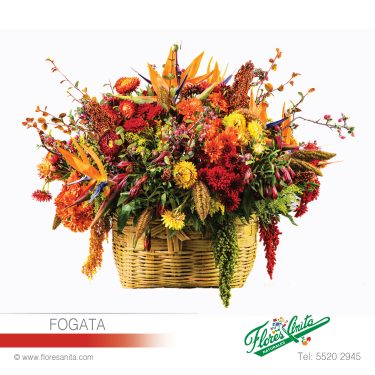 FOGATA (Arreglo Floral) Exóticos