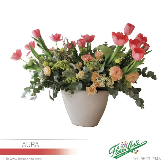 AURA (Arreglo Floral) Tulipanes Arreglo Floral de Tulipanes con Flores de complemento, Eucalipto y Follajes diversos en base de cerámica blanca.